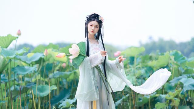 宝可梦剑盾(口袋妖怪剑盾怎么改性格)