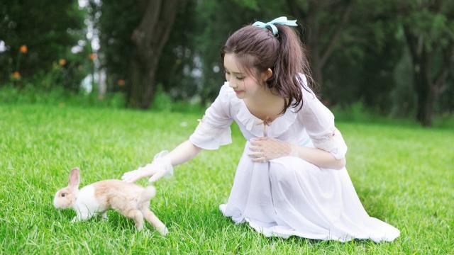 世界上最重的猫有多少斤(全网最胖的猫)