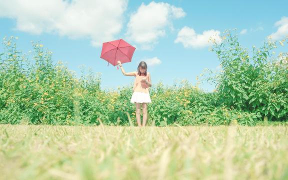 金丝熊寿命最长多少年(世界上活得最久的金丝熊)